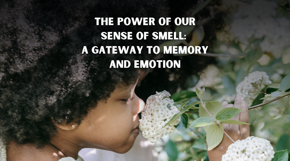 The Power of Our Sense of Smell: A Gateway to Memory and Emotion