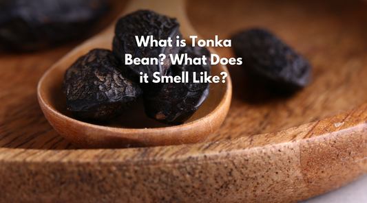 What is Tonka Bean? What does it Smell Like?