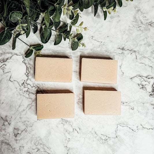 Apple Spice Bar Soap